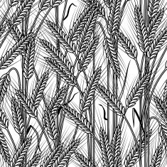 Seamless cereal ears background black and white