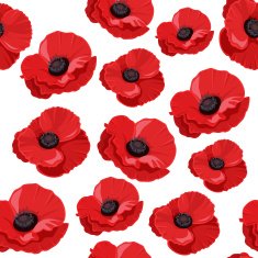 Seamless pattern with red poppies Vector illustration