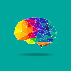 brain geometric vector N2