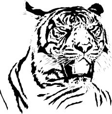 Tiger illustration in black lines N5