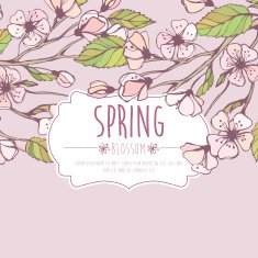 Blossoming Spring Branch Vector illustration