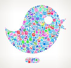 Bird on Home Automation and Security Vector Background N3
