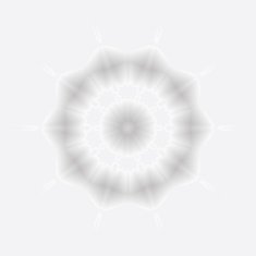 abstract gray floral pattern icon