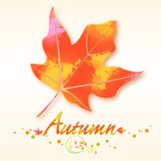 Autumn leaf symbol N3