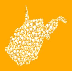 West Virginia State on Vector Lightbulb Pattern Background