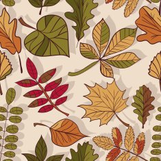 pattern of autumn leaves N6