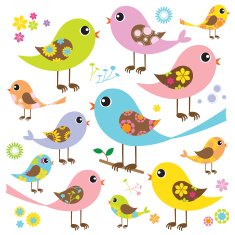 Colorful Birds with Pattern