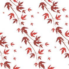 Autumn seamless pattern N37