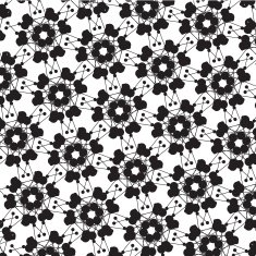abstract black and white floral pattern background N10