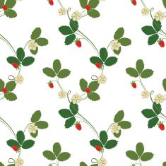 Strawberry seamless pattern N5