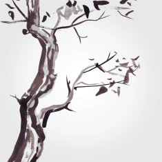 Old tree in Chinese style