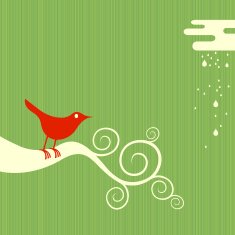 bird on a branch as used by Twitter