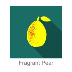 Fragrant pear food and drink flat icon series