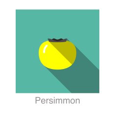 Persimmon food and drink flat icon series