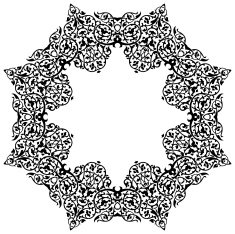 Floral Lace N32