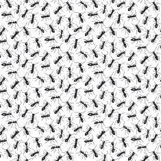 pattern with ants