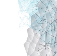 Network N17