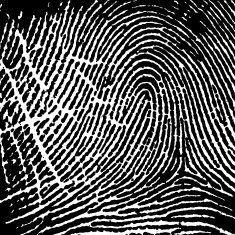 Fingerprint Pattern