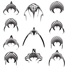 Alien Spaceships and Extraterrestrials Icon Set Predator