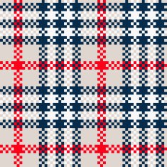 Seamless Red Blue tartan Vector