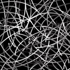 black and white abstract lines background