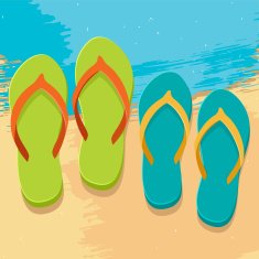 Colorful flip flops N5
