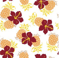 hibiscus repeats N3