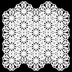 lace N28