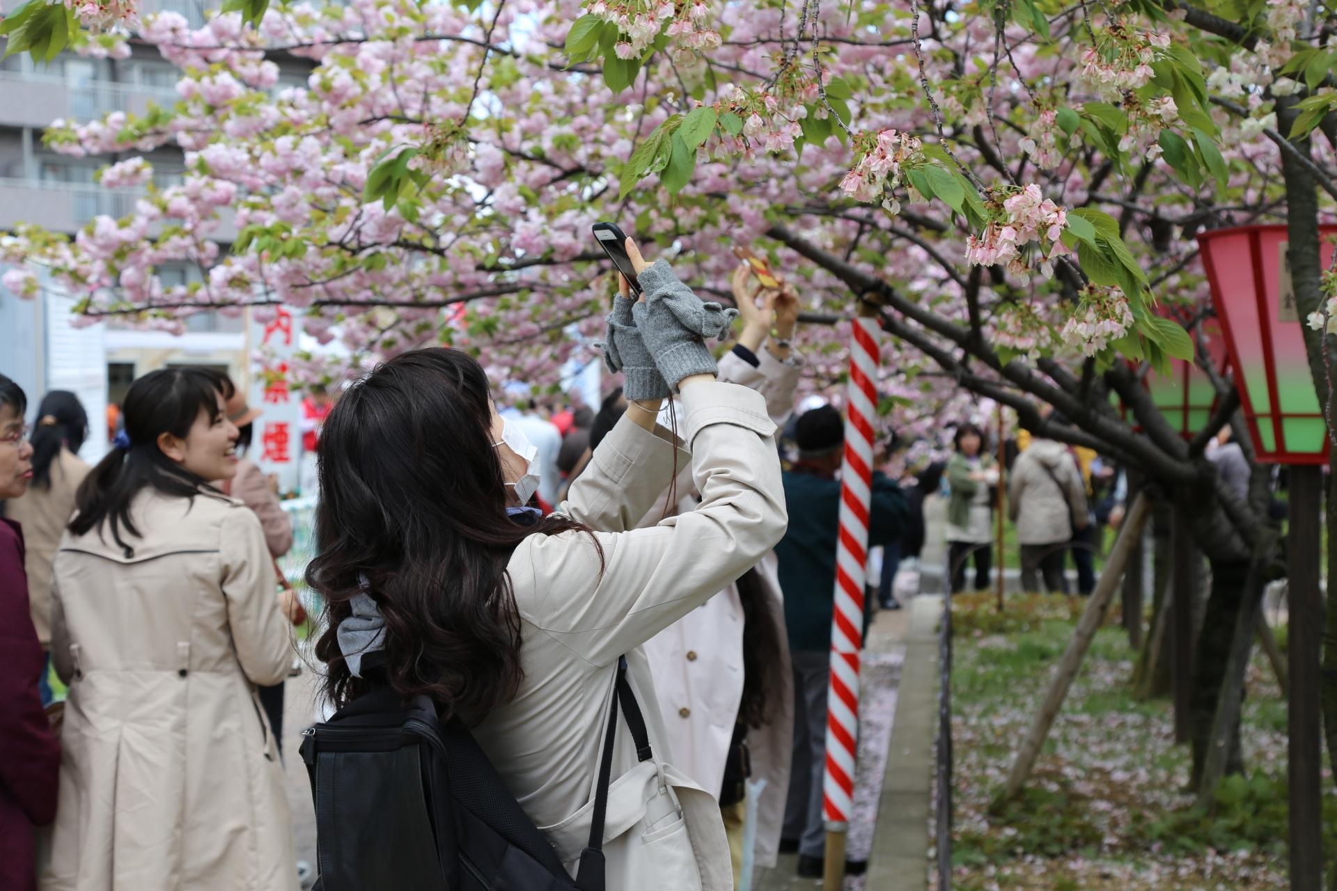 Japanese girls taking pictures image.