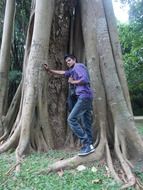 young male in tree