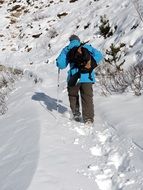 hiking snow walk