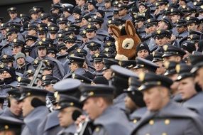 donkey among cadets