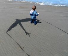 shadow from a kite and a child on the beach