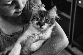 Black and white photo of the home kitten on hands