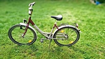 children bike on the green lawn
