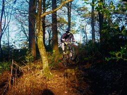 man on a mountain bike in the forest