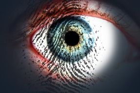 fingerprints on the eye