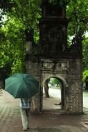 vietnam in summertime