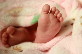 newborn feet