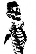 black human skeleton on a white background