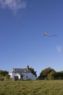 Flying kite in summer