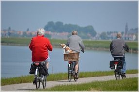 Three old man riding bikes