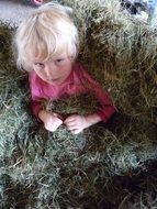 little baby in a haystack