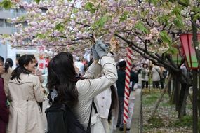 japanese girls taking pictures