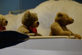 teddy bears in the boat