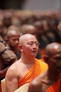 praying buddhist monk