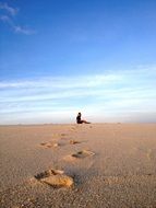 Footsteps on the beach