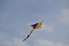 colored kite