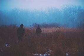 two young boys walking in foggy wilderness