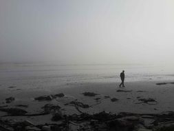 man walking along the sandy foggy beach of the ocean
